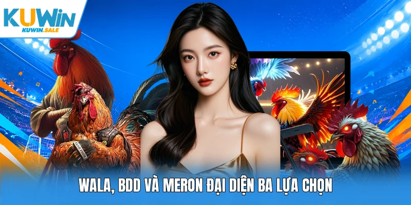 Wala, BDD và Meron đại diện ba lựa chọn